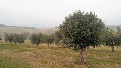 I Luoghi di San Biagio (13)