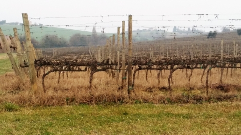 I Luoghi di San Biagio (21)