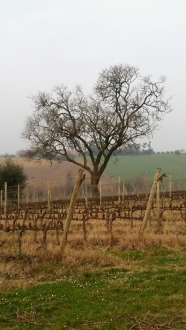 I Luoghi di San Biagio (26)