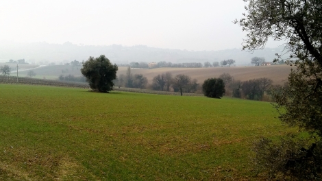 I Luoghi di San Biagio (31)