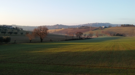 I Luoghi di San Biagio (48)